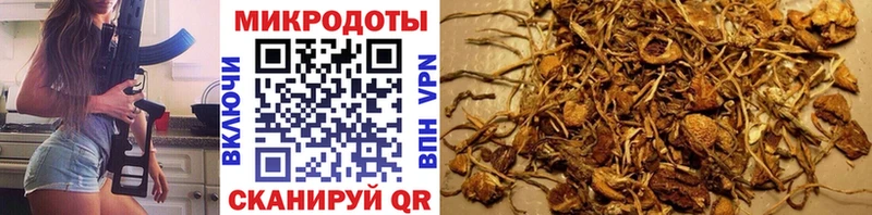 цены наркотик  Нальчик  Галлюциногенные грибы Cubensis 